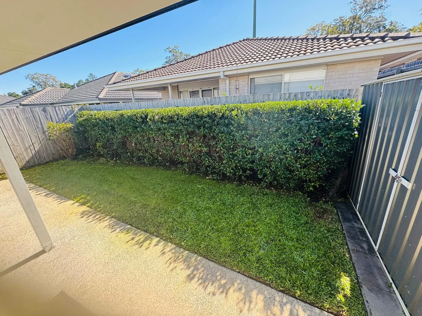 Neatly trimmed residential hedge and tidy lawn at a backyard property