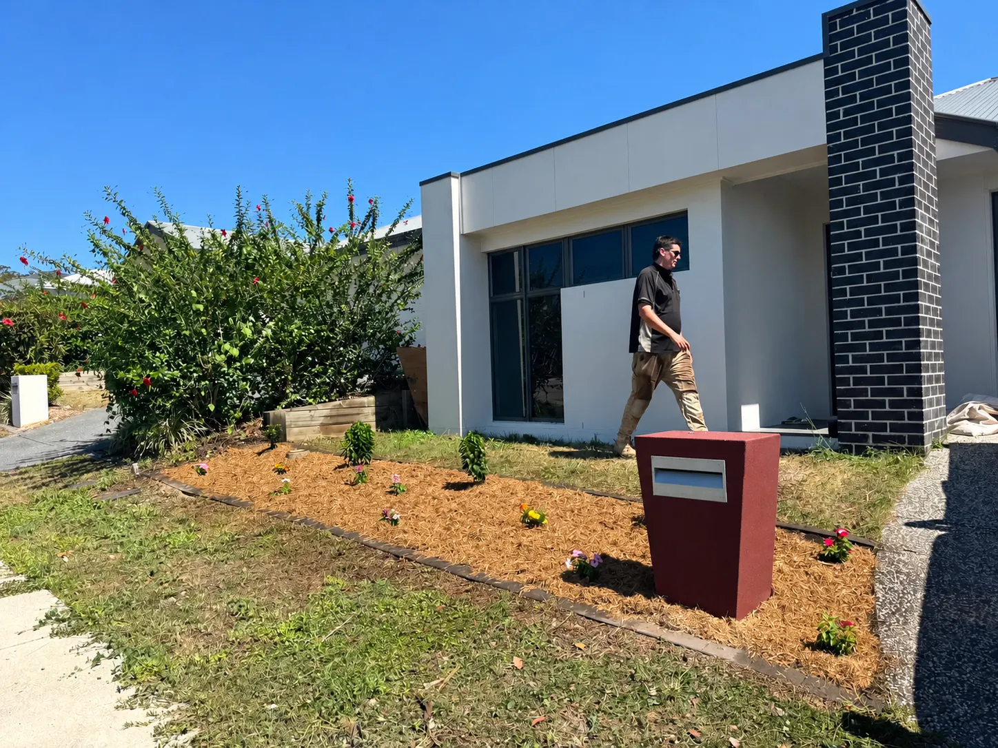 A completed residential garden bed with mulch and planting