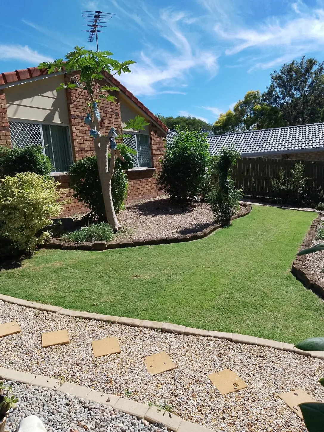 Turf installation stage: One month established